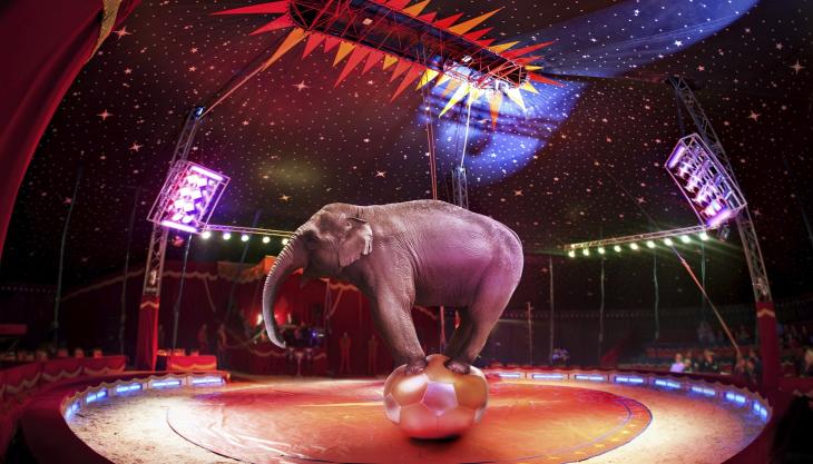 kunst art zirkus monte carlo artist-ritual