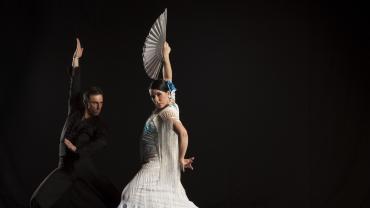 Flamenco Musik